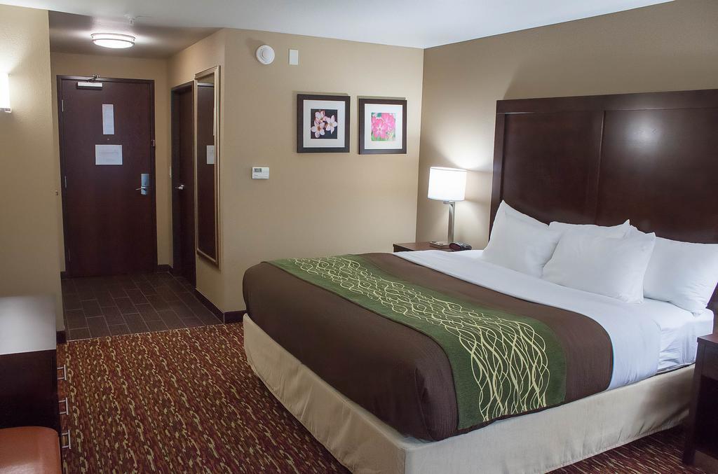 Comfort Inn & Suites Артижа Номер фото