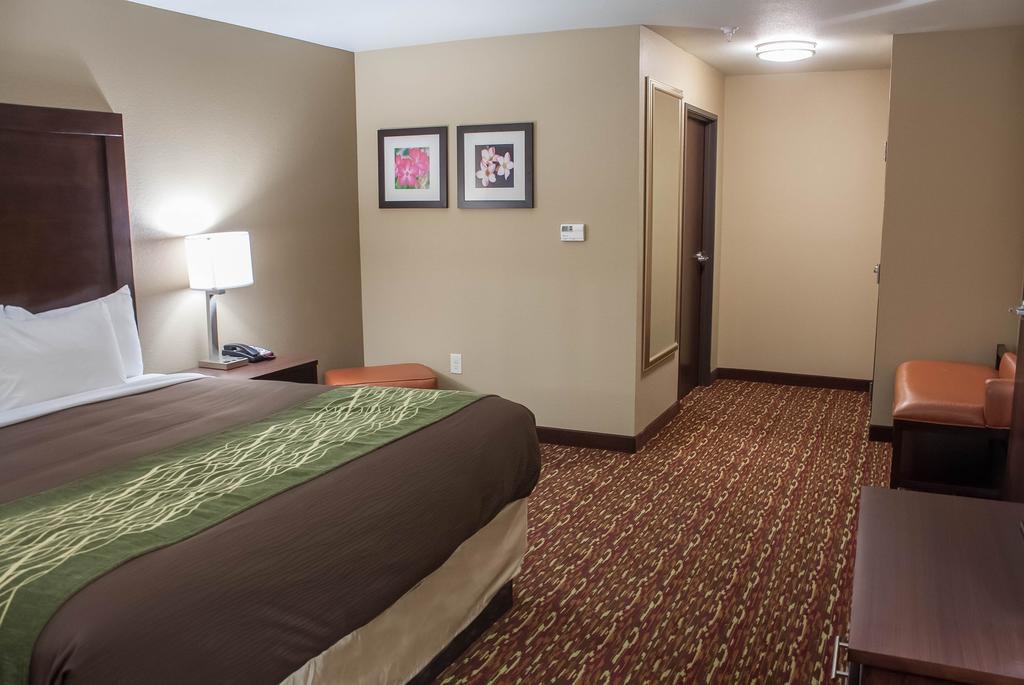 Comfort Inn & Suites Артижа Номер фото